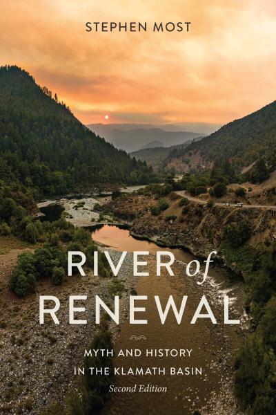 Most River of Renewal 3989994076
