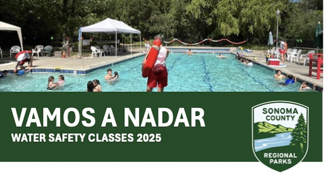 17 vamos a nadar