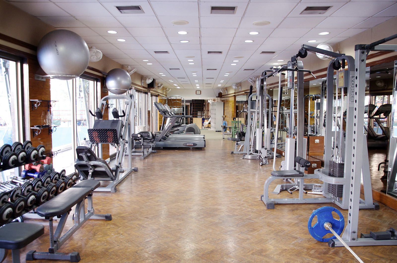 1600px Gym wiki