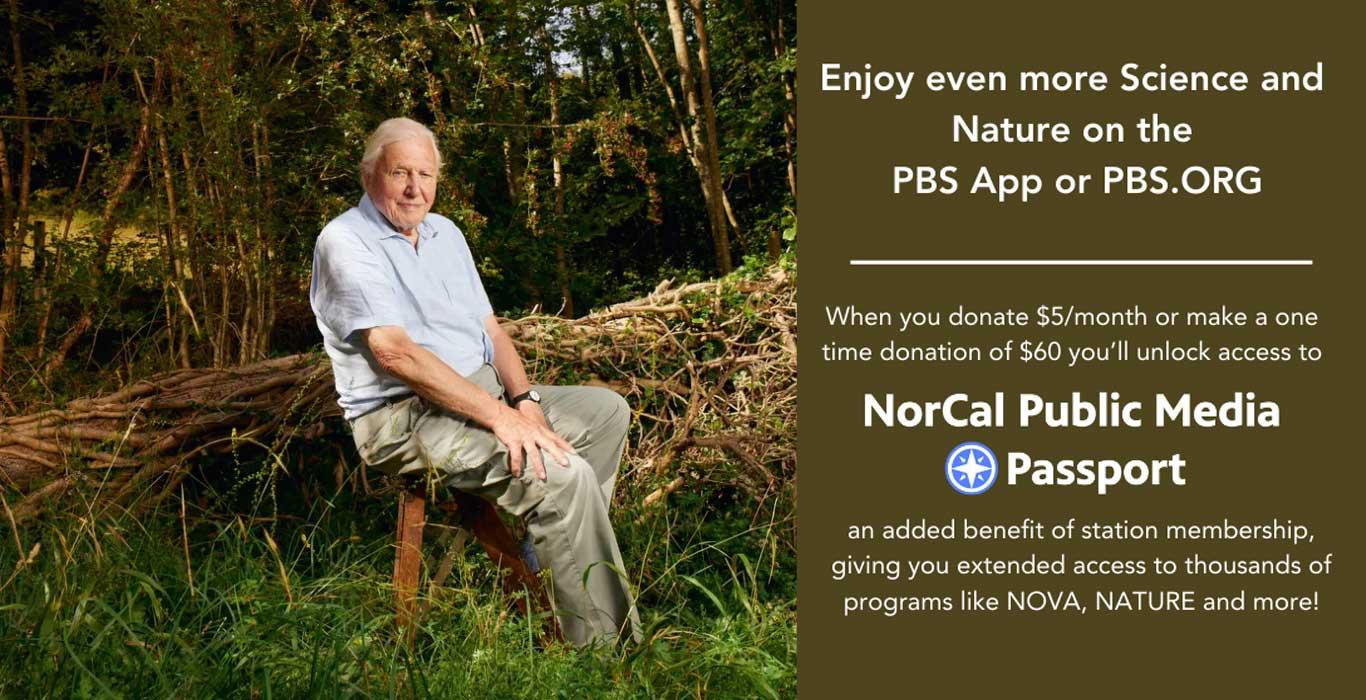 David Attenborough