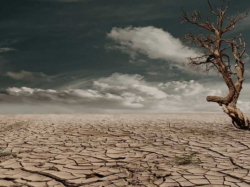 LivingDown EPISODES