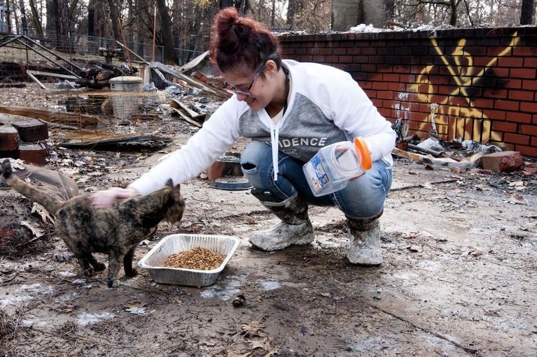 camp fire survivor airforce