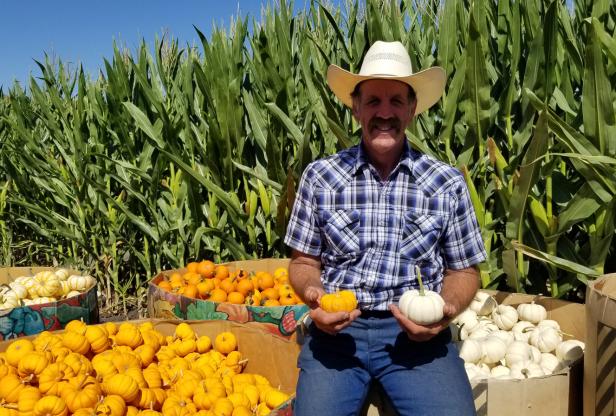 FarmerJim