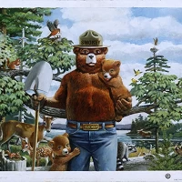 Prevent Wildfires