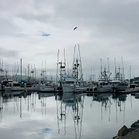 Fishing boats