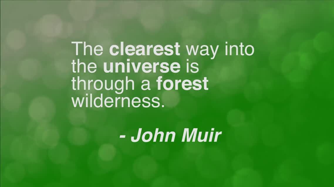 The clearest way