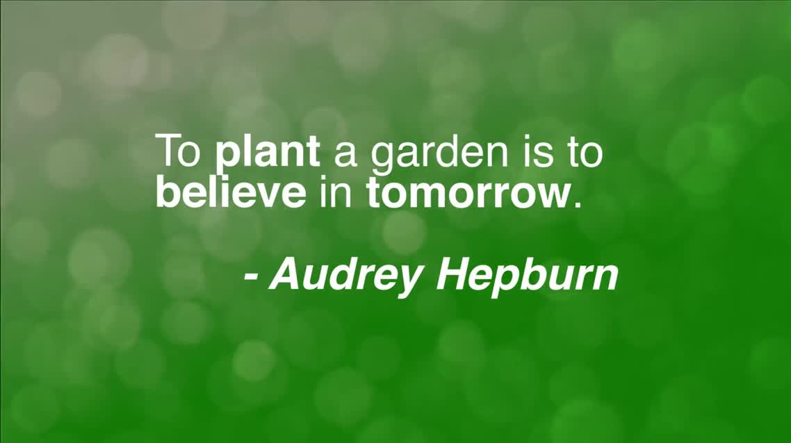 To plant a garden