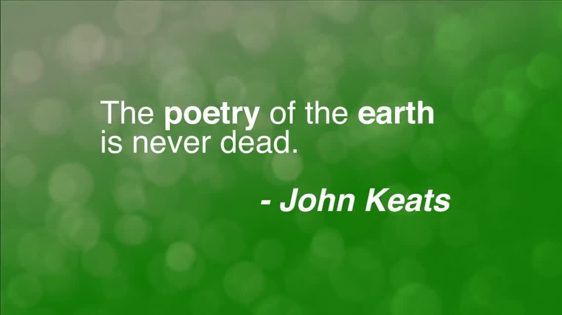 The poetry of 