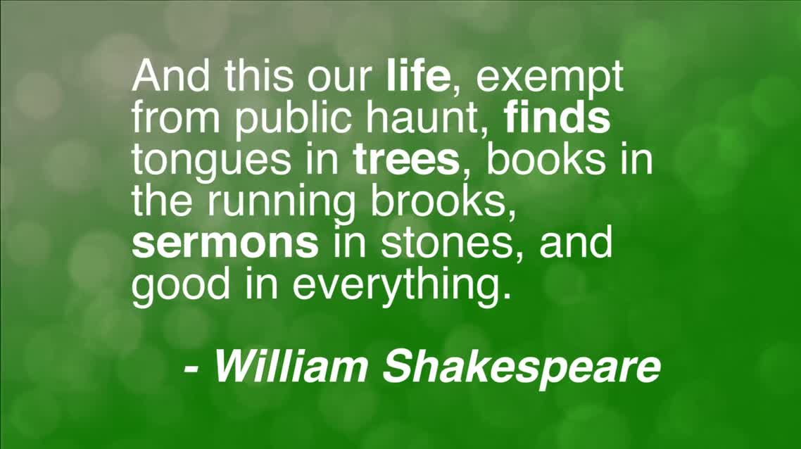 And this our life
