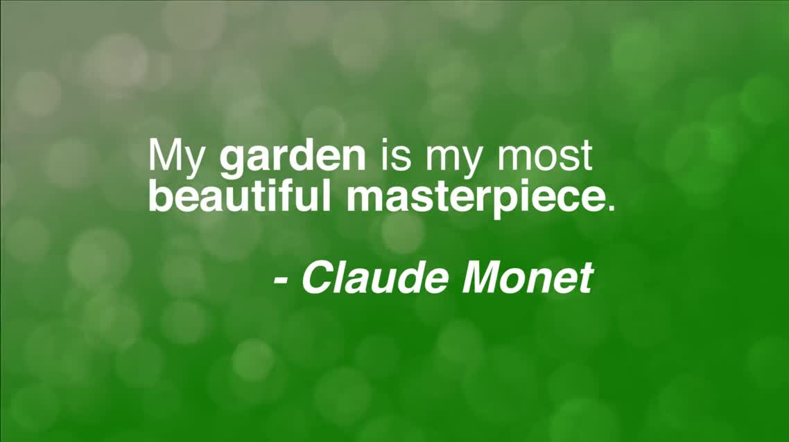 My garden is