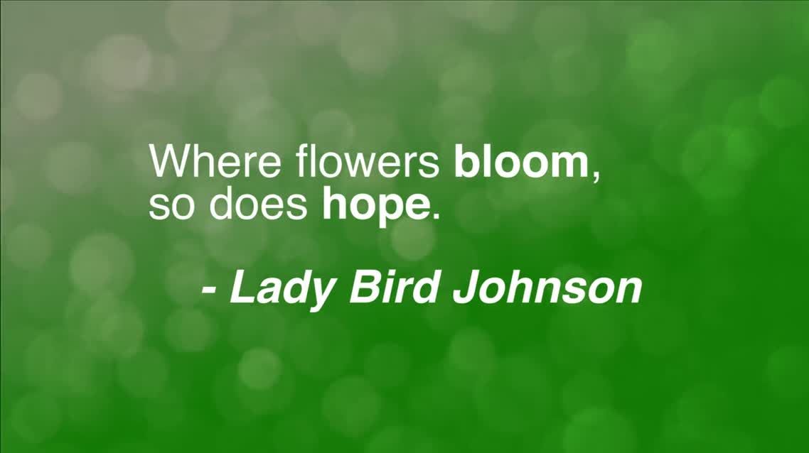 Where flowers bloom