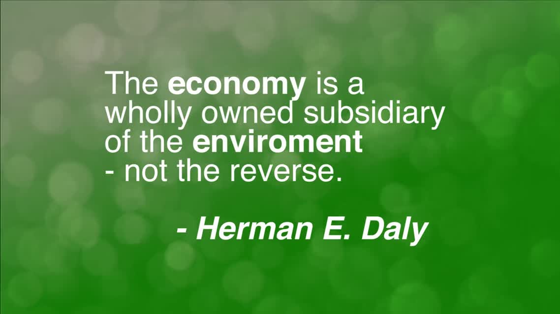 The economy is a