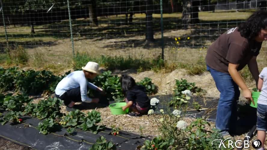 Forget Me Not Farm