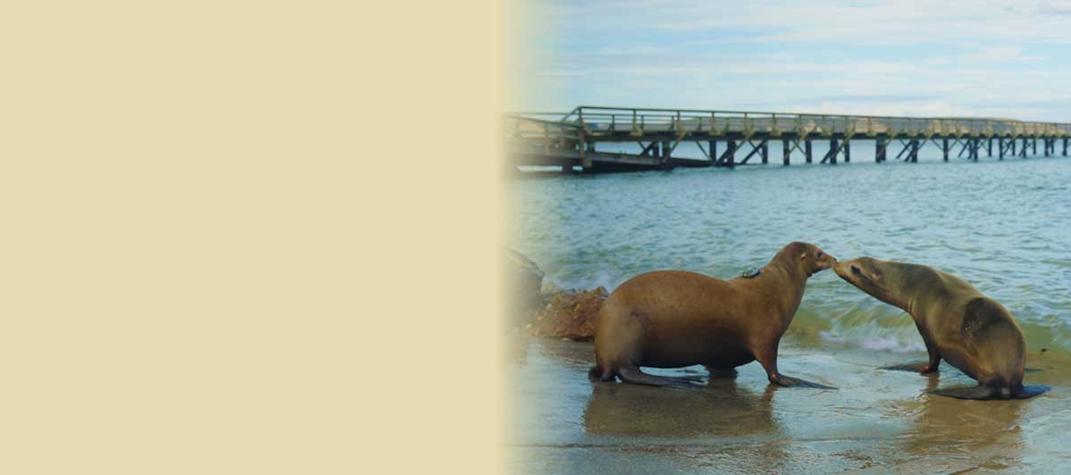 Climate California
